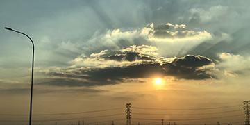 镇平小麦技术优势